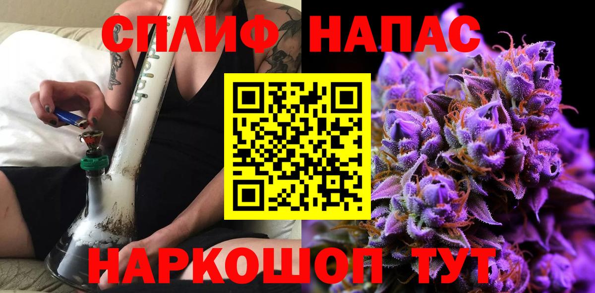 Конопля тримм Ачхой-Мартан